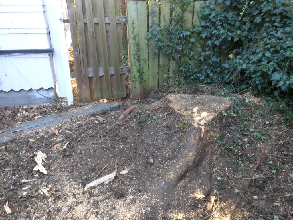 The location of this stump impeded the use of our client's backyard gate. When they decided that it had to go, they called us to grind it away.
