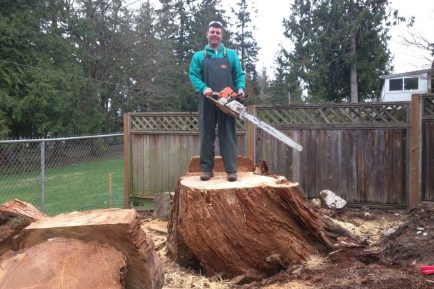 burlington-wa-stump-removal-stump-grinding-10