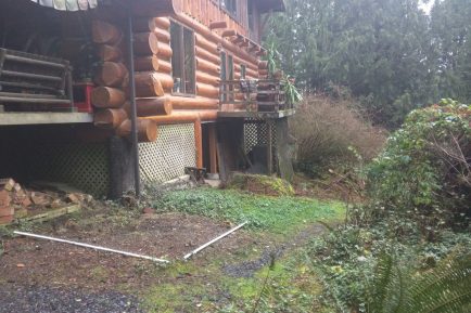 issaquah-wa-stump-removal-stump-grinding-01