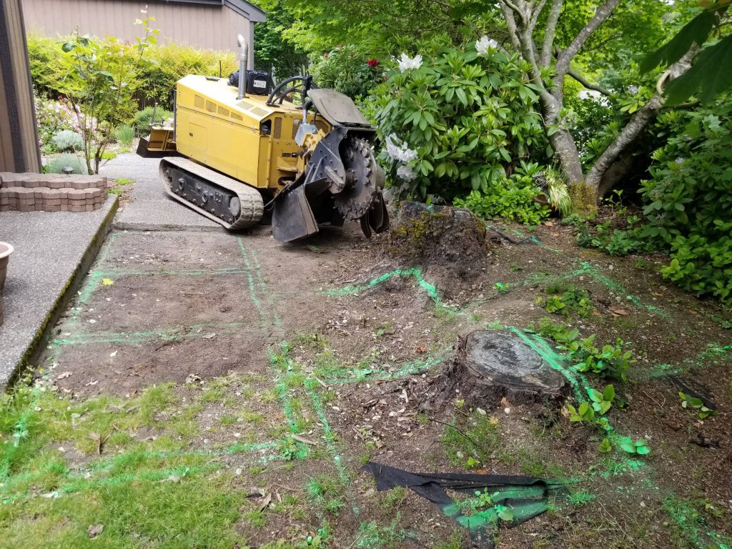 Kenmore, WA Stump grinding