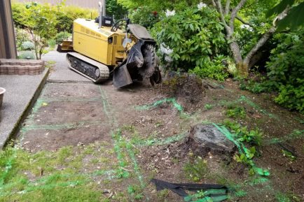 kenmore-stumpgrinding-2