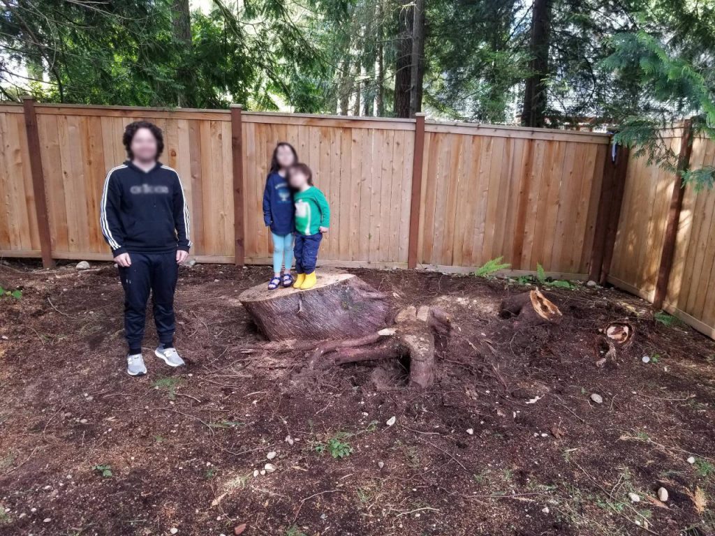 Sammamish, WA Stump Grinding