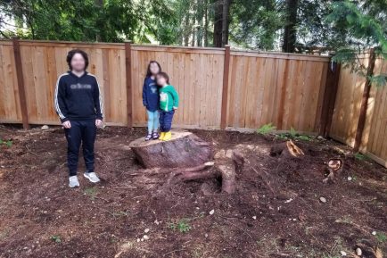 sammamish-stump-grinding-1