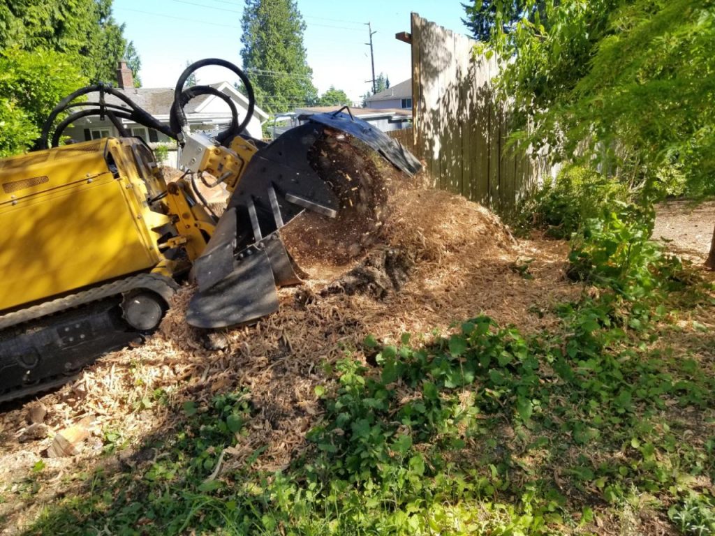 Cle Elum, WA Stump Grinding