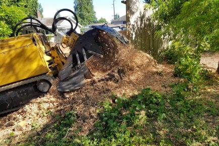 stump-grinding-2