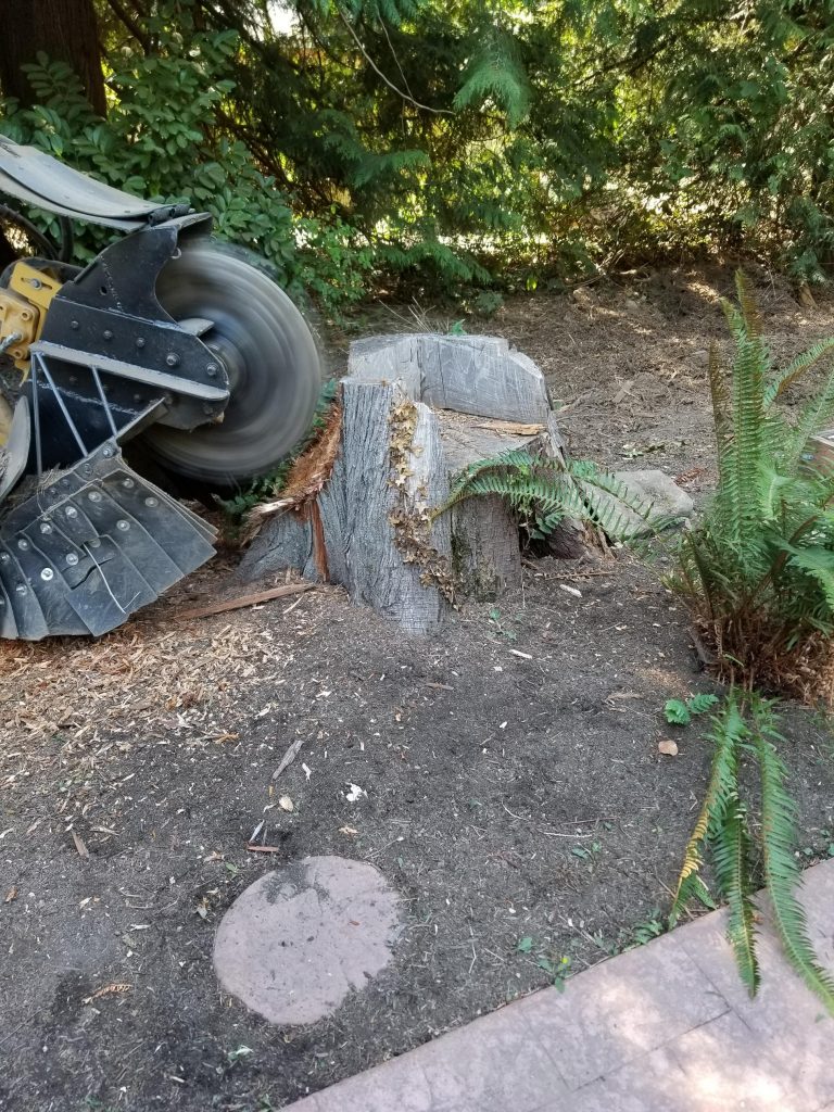 Bainbridge Island Stump Grinding