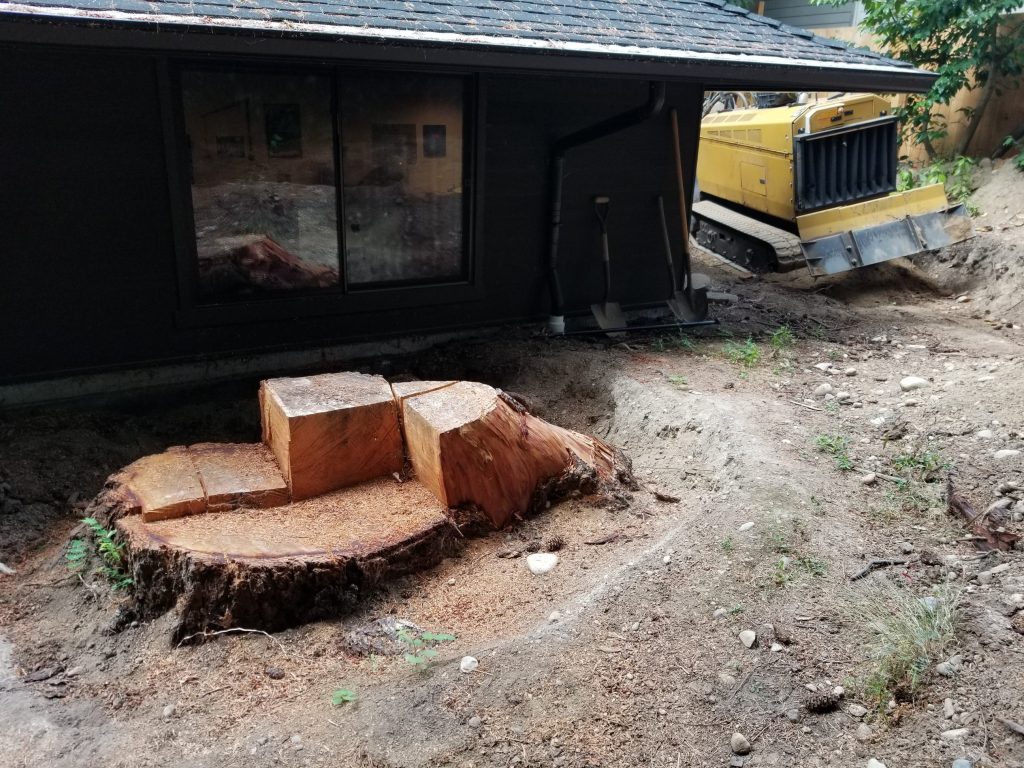 Bothell / Kirkland Stump Removal